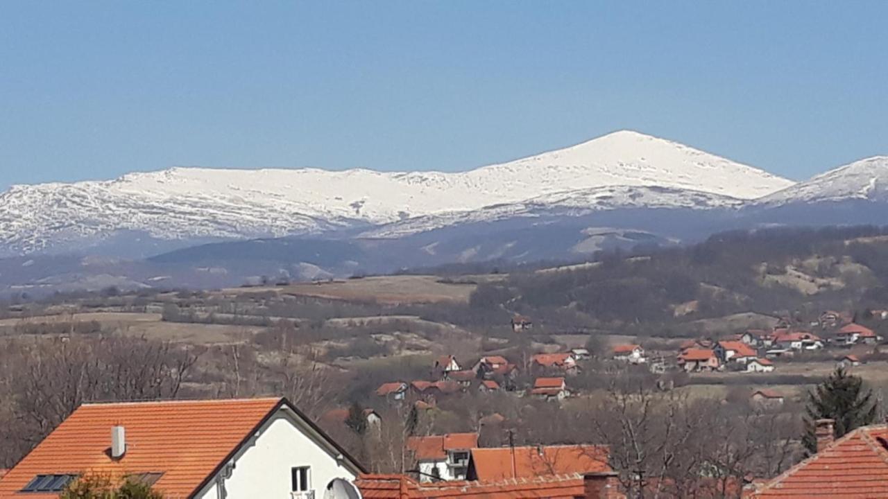 Apartman "Vienna" Soko Banja Bagian luar foto