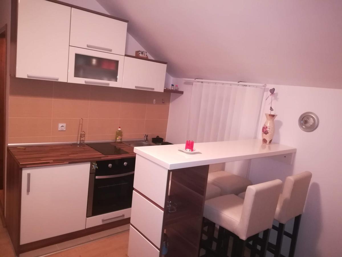 Apartman "Vienna" Soko Banja Bagian luar foto