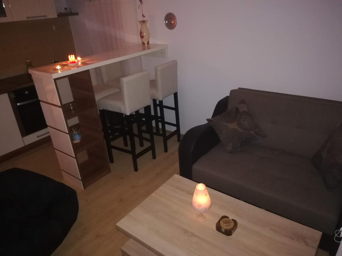Apartman "Vienna" Soko Banja Bagian luar foto